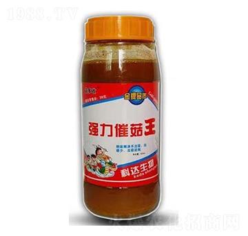 �������������߹���-���_����