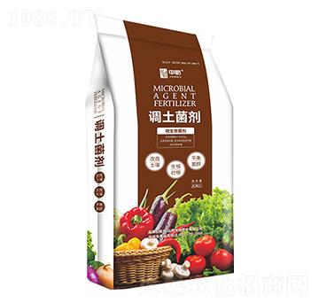 �{(di��o)������-����ʘI(y��)