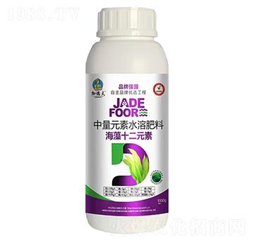 ����Ԫ��ˮ�ܷ���-����ʮ��Ԫ��-�ӵ·�-��Ⱥ�r(n��ng)�I(y��)