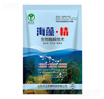 ���塤��-��ؐ��-����