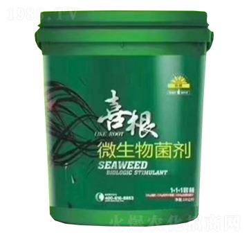 ΢�������-ϲ��-���r�A