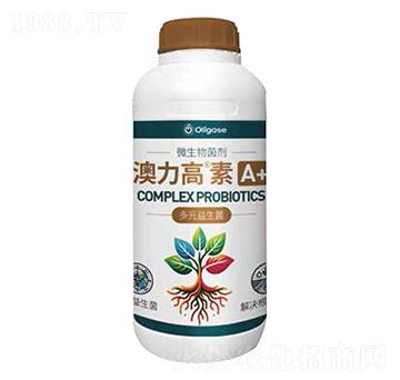 ΢�������-��������A+-������