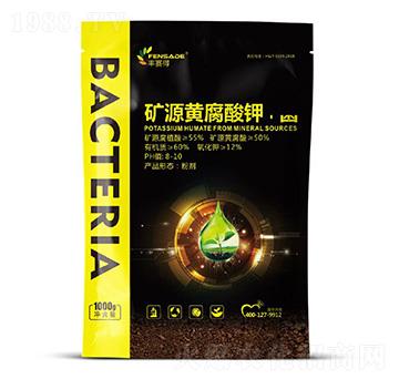 �VԴ�S�����-�Sِ��