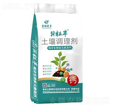 �����{�턩-ؐ���S-�����o��