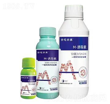 M-�T����-�໨���-����֮�G