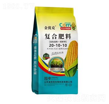 ��������������͏�(f��)�Ϸ���20-10-10-����(y��u)��