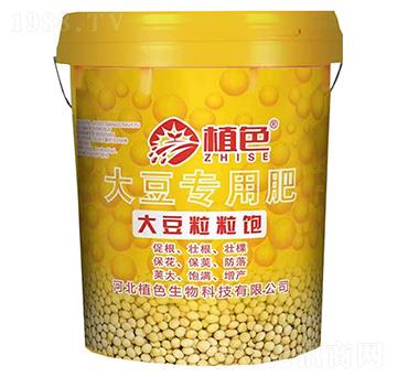 �󶹌��÷�-�������-ֲɫ����