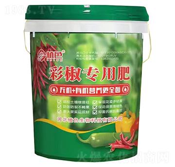 �ʽ����÷�-ֲɫ����