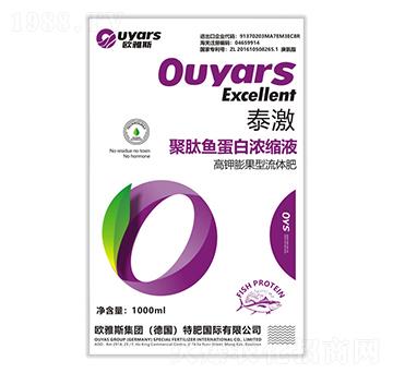 �����������w��-̩��-�W��˹