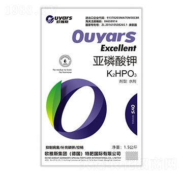 �������-�W��˹