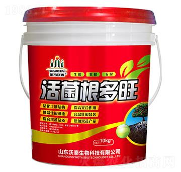 ���������-��̩����