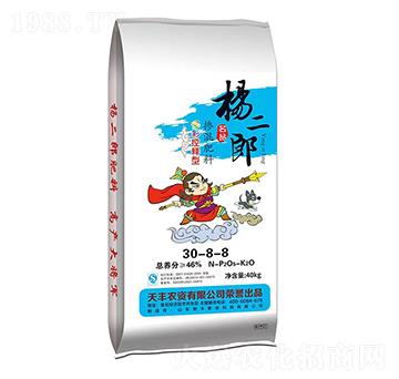 ����͓������30-8-8-�����-���S�ʘI(y��)