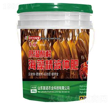 �͜�ø�⺣�徫Һ�w��-����-�׵��r(n��ng)�I(y��)