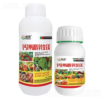 �}�V���\�F�V-��������