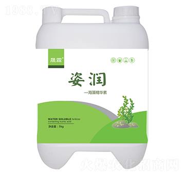 �˝����徫�A��-��������