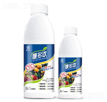 �n���ա����䌣�á�-��ï����