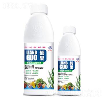 �ЙC���徫�A��-�n��-��ï����