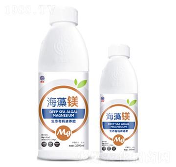 �����V-��ï����