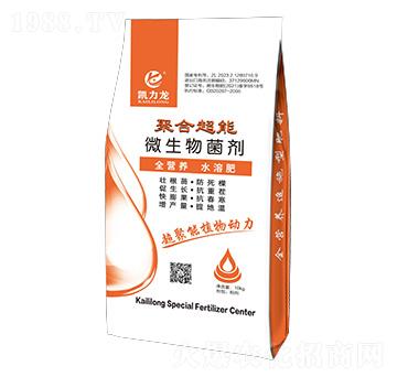 �ۺ˳���΢�������-�P����