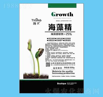 500g���徫-��l(w��i)-����r(n��ng)�I(y��)