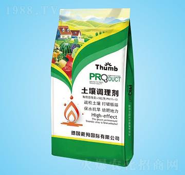 �����{�턩-����r�I(y��)