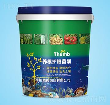 �B(y��ng)���o������-����r(n��ng)�I(y��)