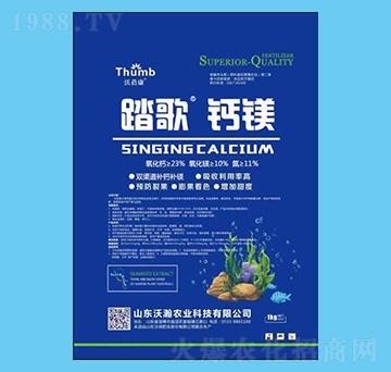 ̤�衤�}�V-������-����r(n��ng)�I(y��)