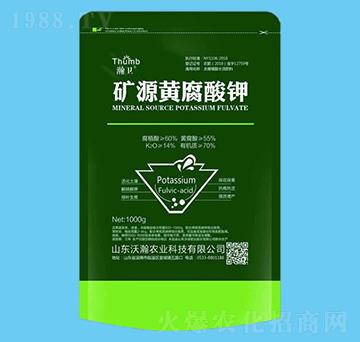 �VԴ�S�����-��l(w��i)-����r�I(y��)