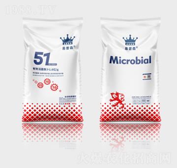 ΢�������51��-����ɭ