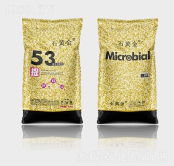 ʯ�S��΢�������53��