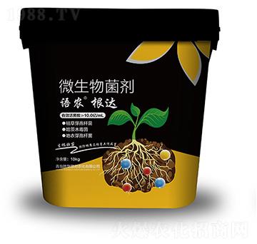 ���_(d��)΢�������-�Z(y��)�r(n��ng)-���A(li��n)��