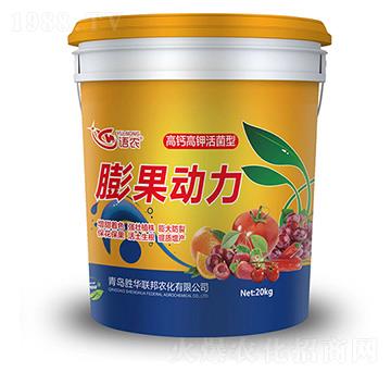 ���}��⛻���������(d��ng)��20kg-�Z(y��)�r(n��ng)-���A(li��n)��