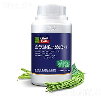 �����~���-�շ�