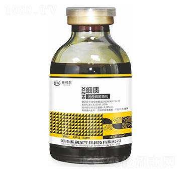 ��ϼ�������-���|(zh��)-̩����