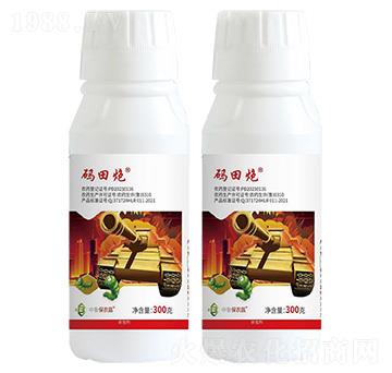 12%�x����.ʭ����Ҹ���-�a����-���r��