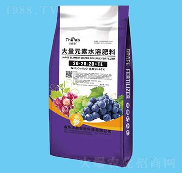 ����Ԫ��ˮ�ܷ�20-20-20+TE-������-����r(n��ng)�I(y��)