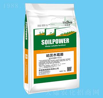 5kg����ľù����10�|�����-������-����r(n��ng)�I(y��)