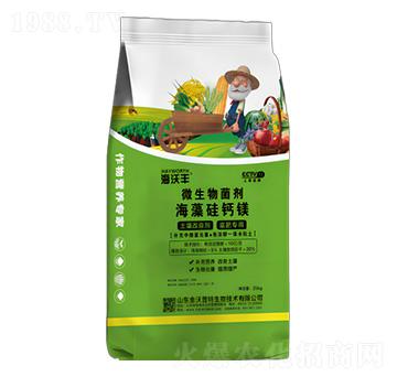 ΢�������-������}�V-�����S-�����_����