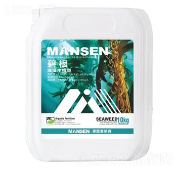 ���������͛_ʩ��-�̸�-���{ɭ