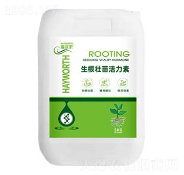 �������������-�����S-�����_����