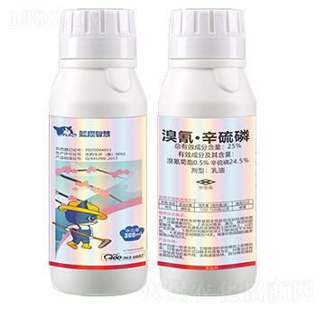 25%���衤����������-�{؈�ǻ�