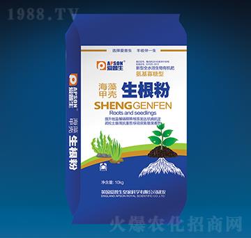 ����ך�������-������