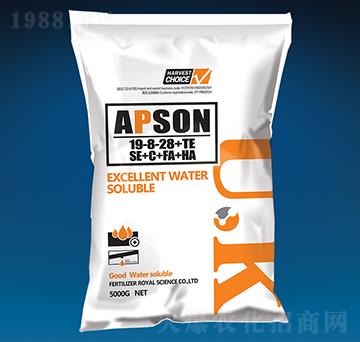 �������19-8-28+TE-��(��i)����