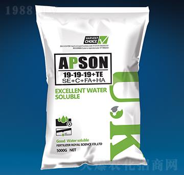 �������19-19-19+TE-��(��i)����