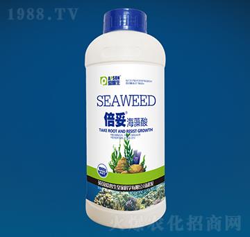 ���ס�������-��(��i)����