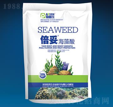 ���ס������ᣨ����-��(��i)����