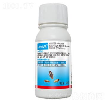 40%߻�x��60g-�Ӽј�(l��)-����