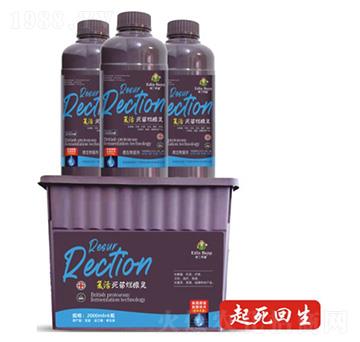 ��(f��)�����砀���`-��(��i)������