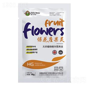 ���������`-�۶�����