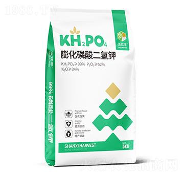 ����������-�����S-�ɿ����ʘI(y��)